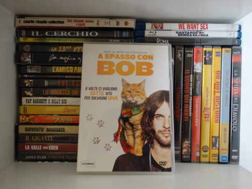 A spasso con Bob: Dvd/BluRay da collezione -257