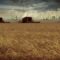 Food INC.: BluRay/Dvd da collezione 454