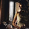 La donna di Gilles: BluRay/Dvd da collezione - 497