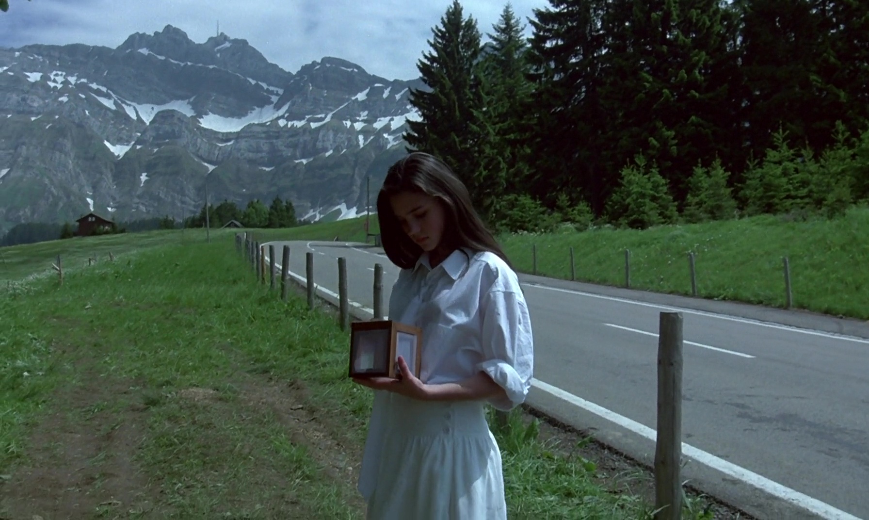Phenomena, Dario Argento